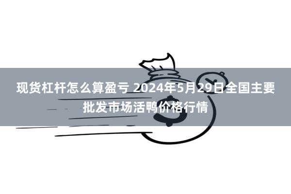 现货杠杆怎么算盈亏 2024年5月29日全国主要批发市场活鸭价格行情