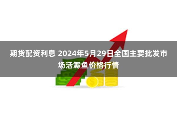 期货配资利息 2024年5月29日全国主要批发市场活鳜鱼价格行情