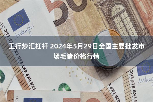 工行炒汇杠杆 2024年5月29日全国主要批发市场毛猪价格行情