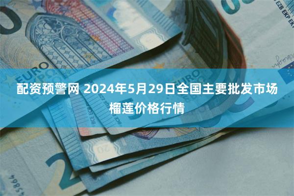 配资预警网 2024年5月29日全国主要批发市场榴莲价格行情