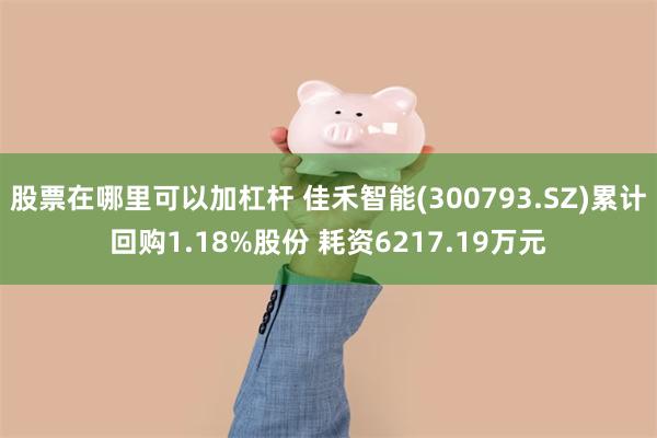 股票在哪里可以加杠杆 佳禾智能(300793.SZ)累计回购1.18%股份 耗资6217.19万元