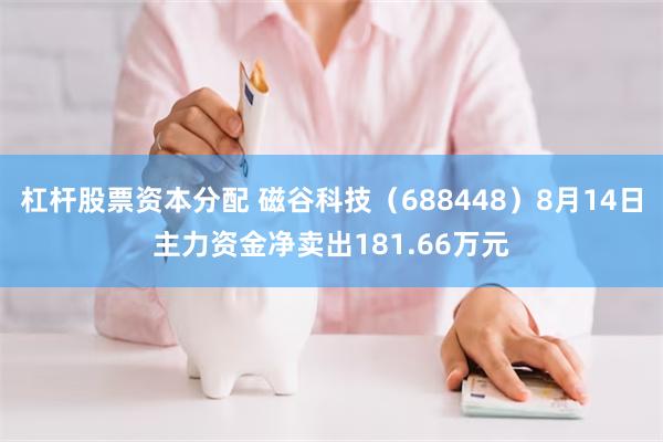 杠杆股票资本分配 磁谷科技（688448）8月14日主力资金净卖出181.66万元