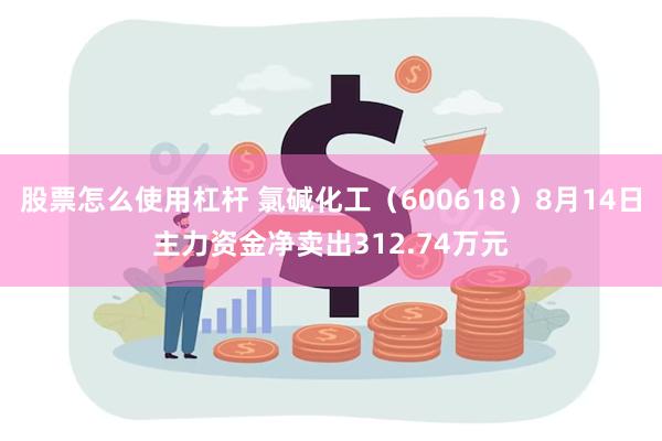 股票怎么使用杠杆 氯碱化工（600618）8月14日主力资金净卖出312.74万元