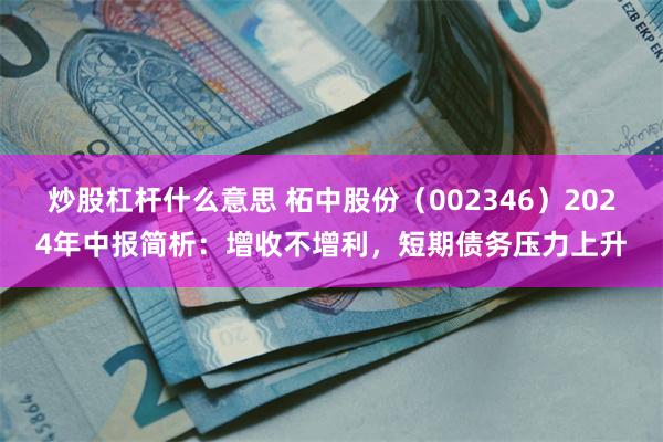 炒股杠杆什么意思 柘中股份（002346）2024年中报简析：增收不增利，短期债务压力上升