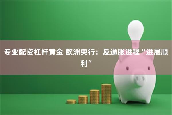 专业配资杠杆黄金 欧洲央行：反通胀进程“进展顺利”