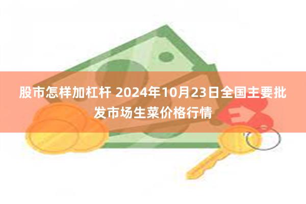 股市怎样加杠杆 2024年10月23日全国主要批发市场生菜价格行情