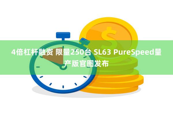 4倍杠杆融资 限量250台 SL63 PureSpeed量产版官图发布