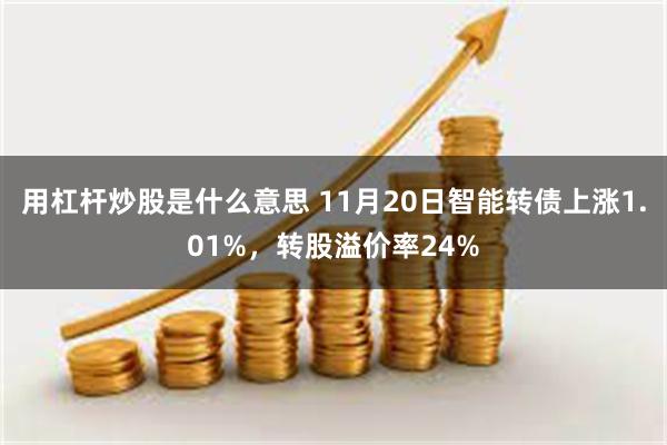 用杠杆炒股是什么意思 11月20日智能转债上涨1.01%，转股溢价率24%