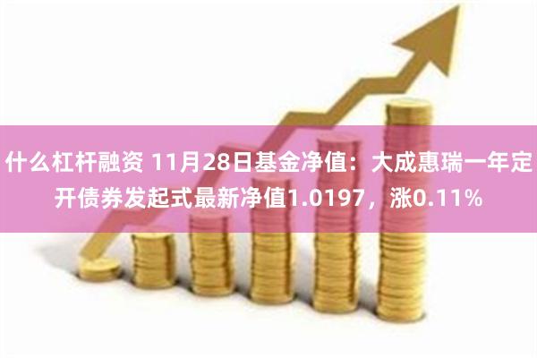 什么杠杆融资 11月28日基金净值：大成惠瑞一年定开债券发起式最新净值1.0197，涨0.11%