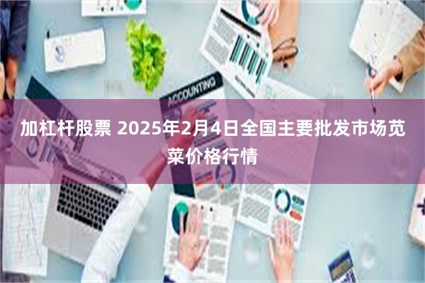 加杠杆股票 2025年2月4日全国主要批发市场苋菜价格行情