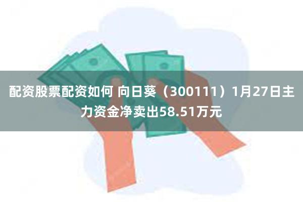 配资股票配资如何 向日葵（300111）1月27日主力资金净卖出58.51万元