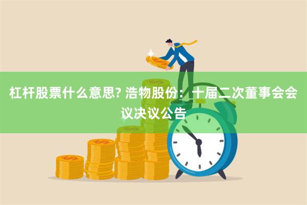 杠杆股票什么意思? 浩物股份：十届二次董事会会议决议公告