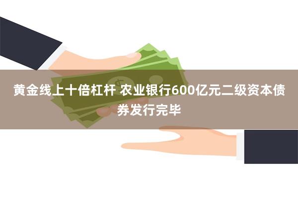 黄金线上十倍杠杆 农业银行600亿元二级资本债券发行完毕